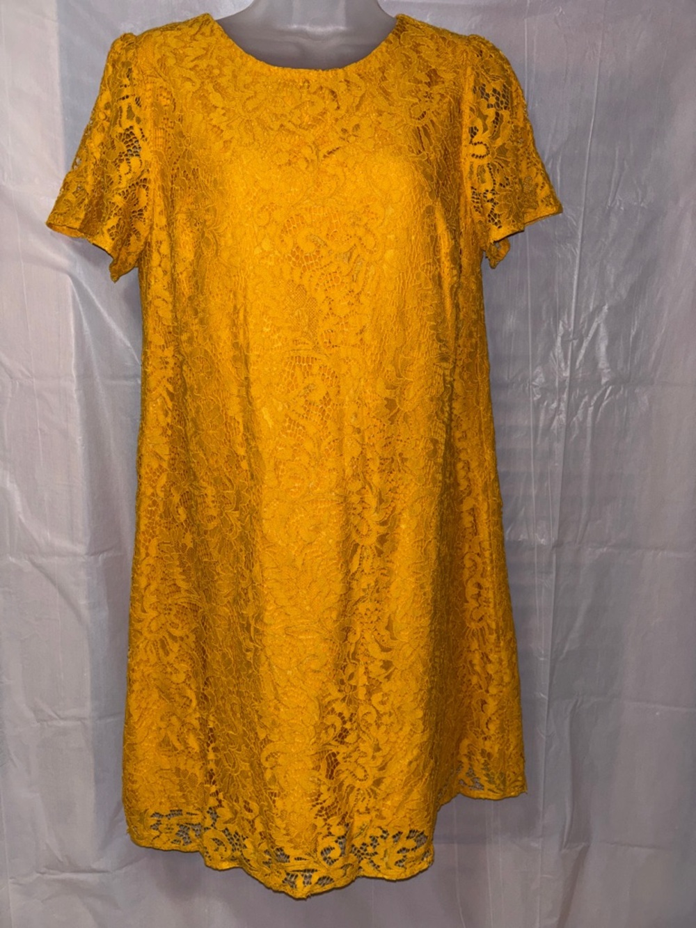 LOFT Mustard Lace Mini Dress